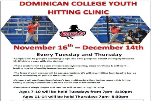 DOMINICAN TO HOLD YOUTH HITTING CLINIC