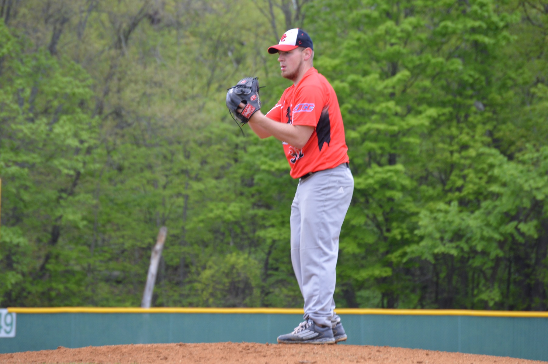 Baseball splits a non-conference double-header with LIU Post.
