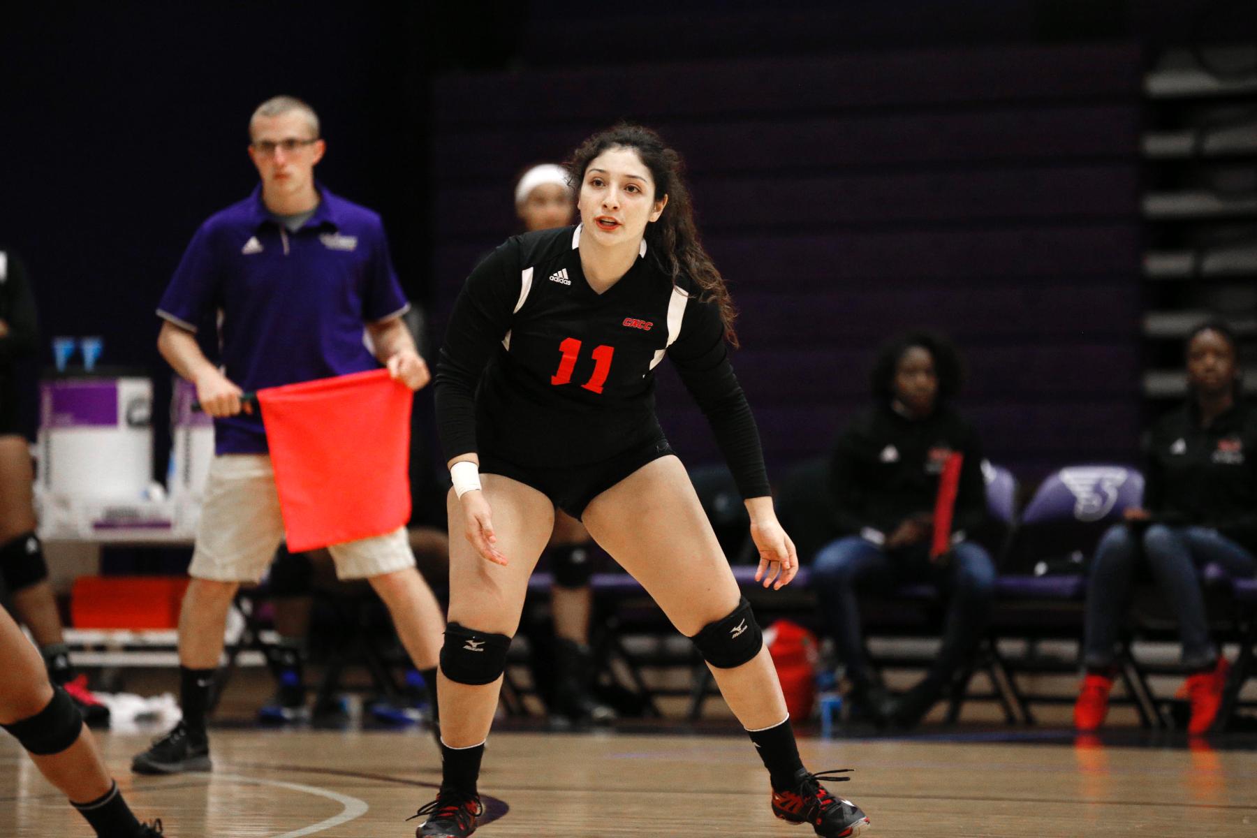 WOMEN'S VOLLEYBALL OPEN 2017 WITH LOSS TO OWLS