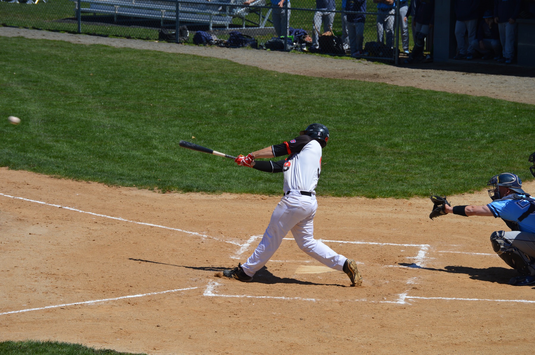 The Dominican College baseball team were swept in CACC action this afternoon by Post University.