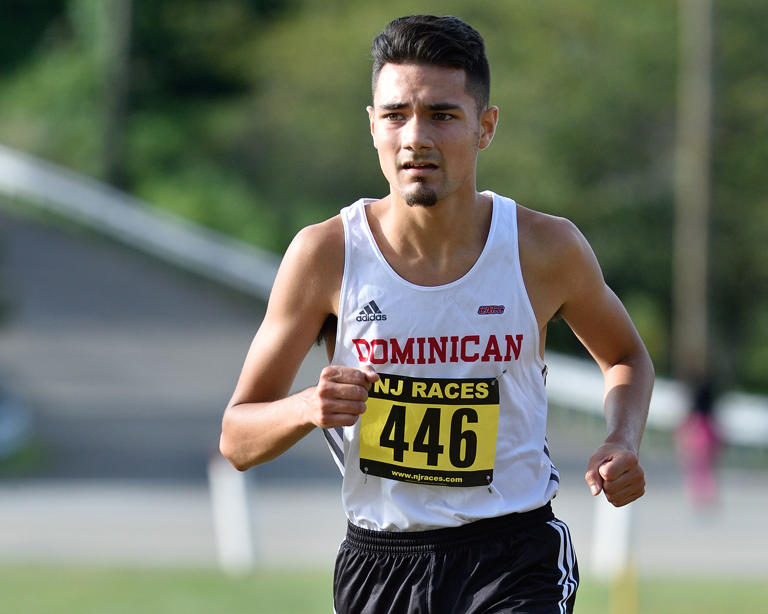 The Dominican College men's cross country team finished in eighth place at the Purchase College Invitational