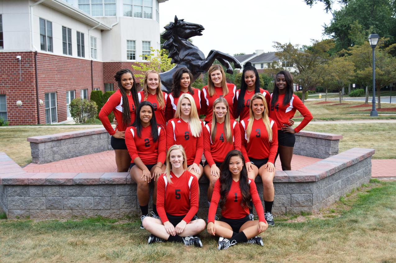 VOLLEYBALL WINS IN STRAIGHT SETS OVER NYACK COLLEGE