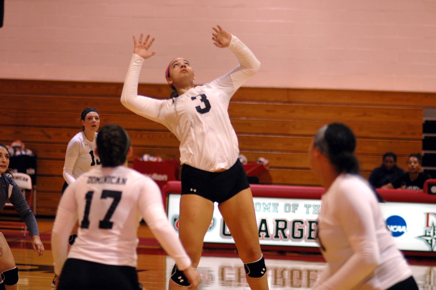 VOLLEYBALL VICTORIOUS OVER BEARS