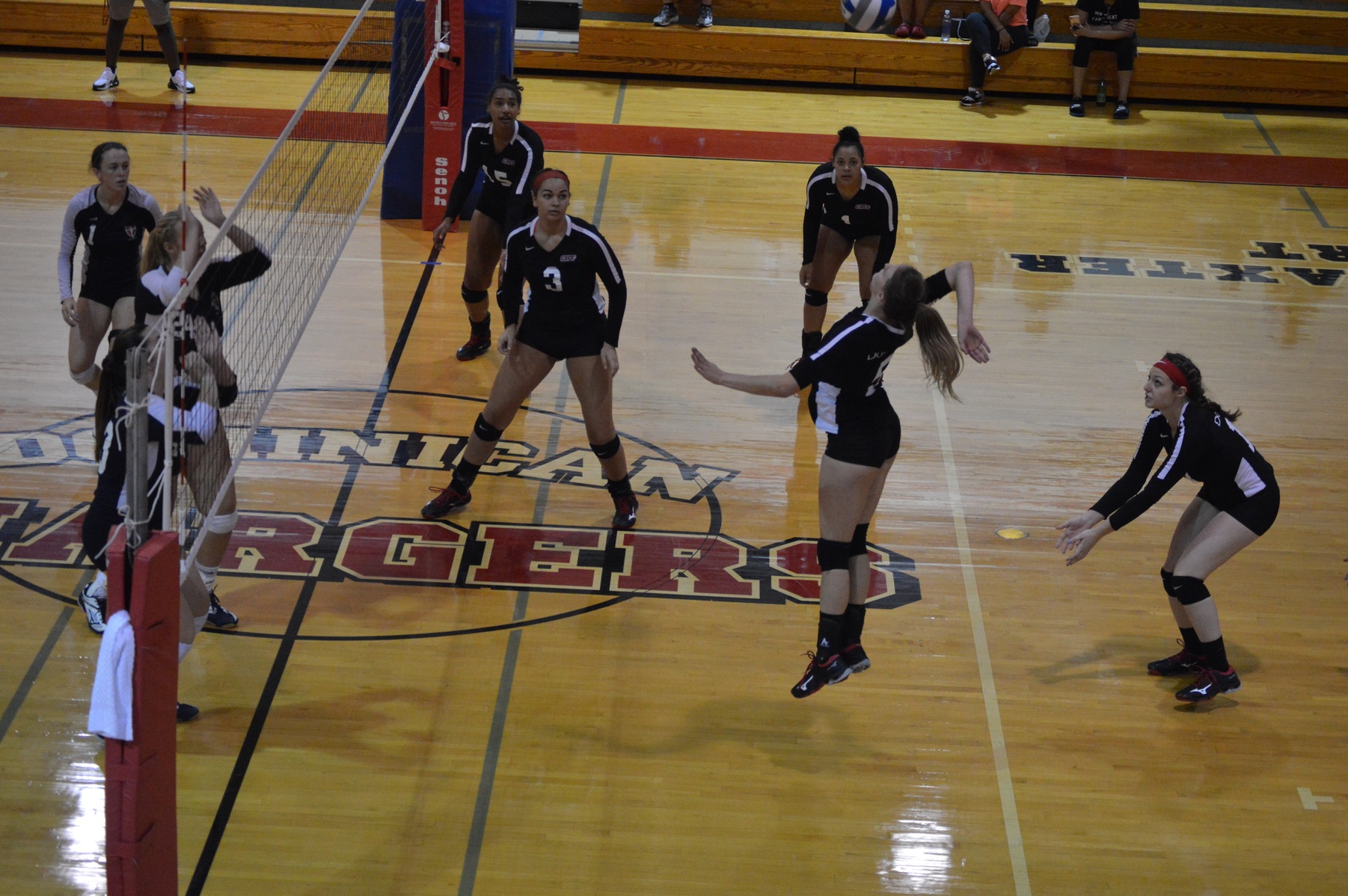 WOMEN'S VOLLEYBALL FALLS TO HOLY FAMILY