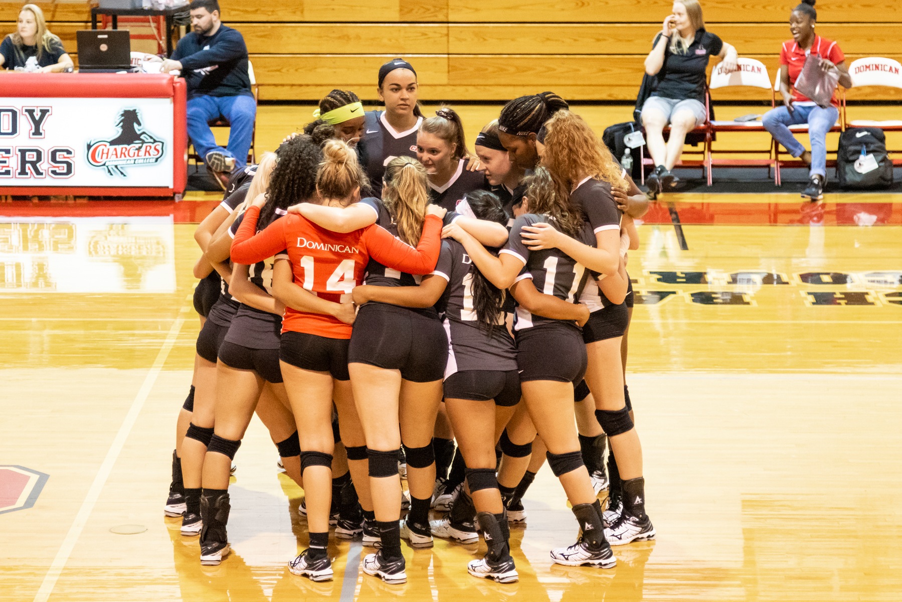 COUGARS SWEEP VOLLEYBALL