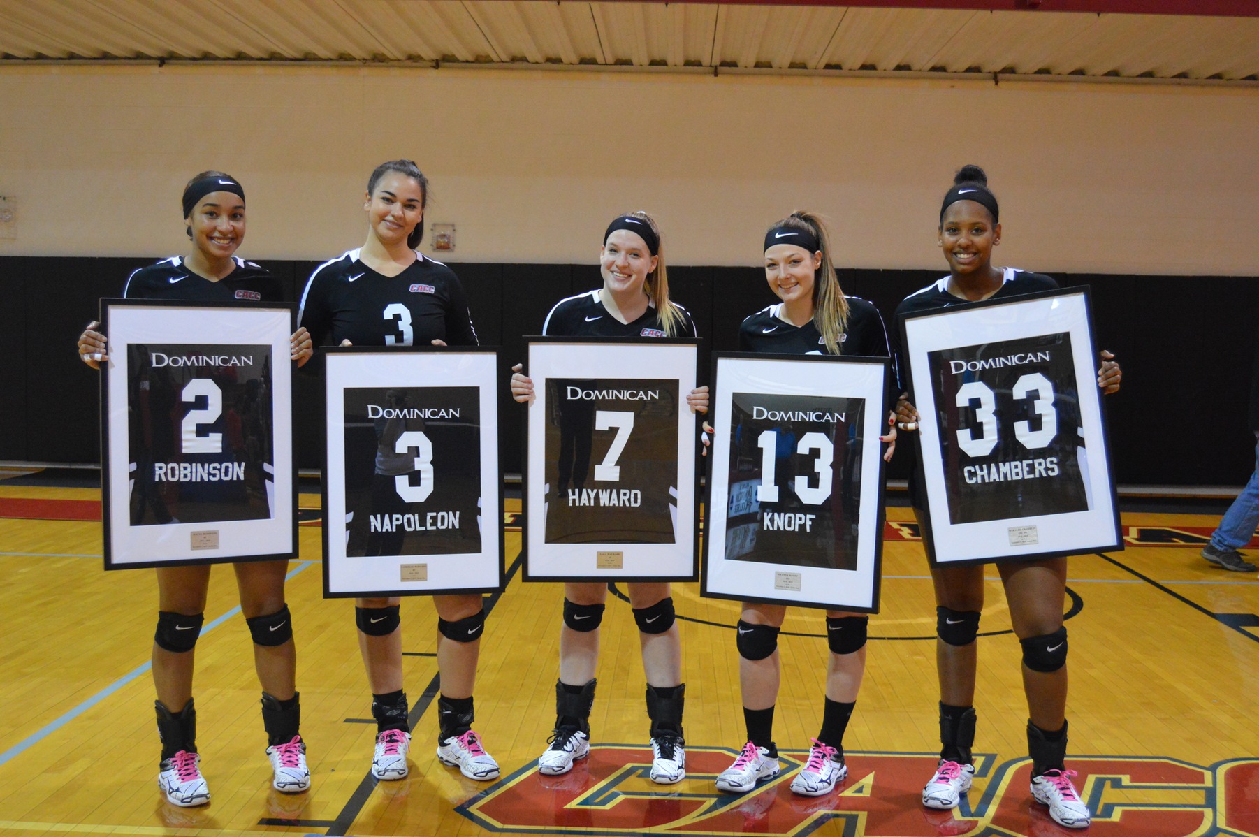 WOMEN'S VOLLEYBALL DROP CONFERENCE MATCH TO HOLY FAMILY ON SENIOR DAY