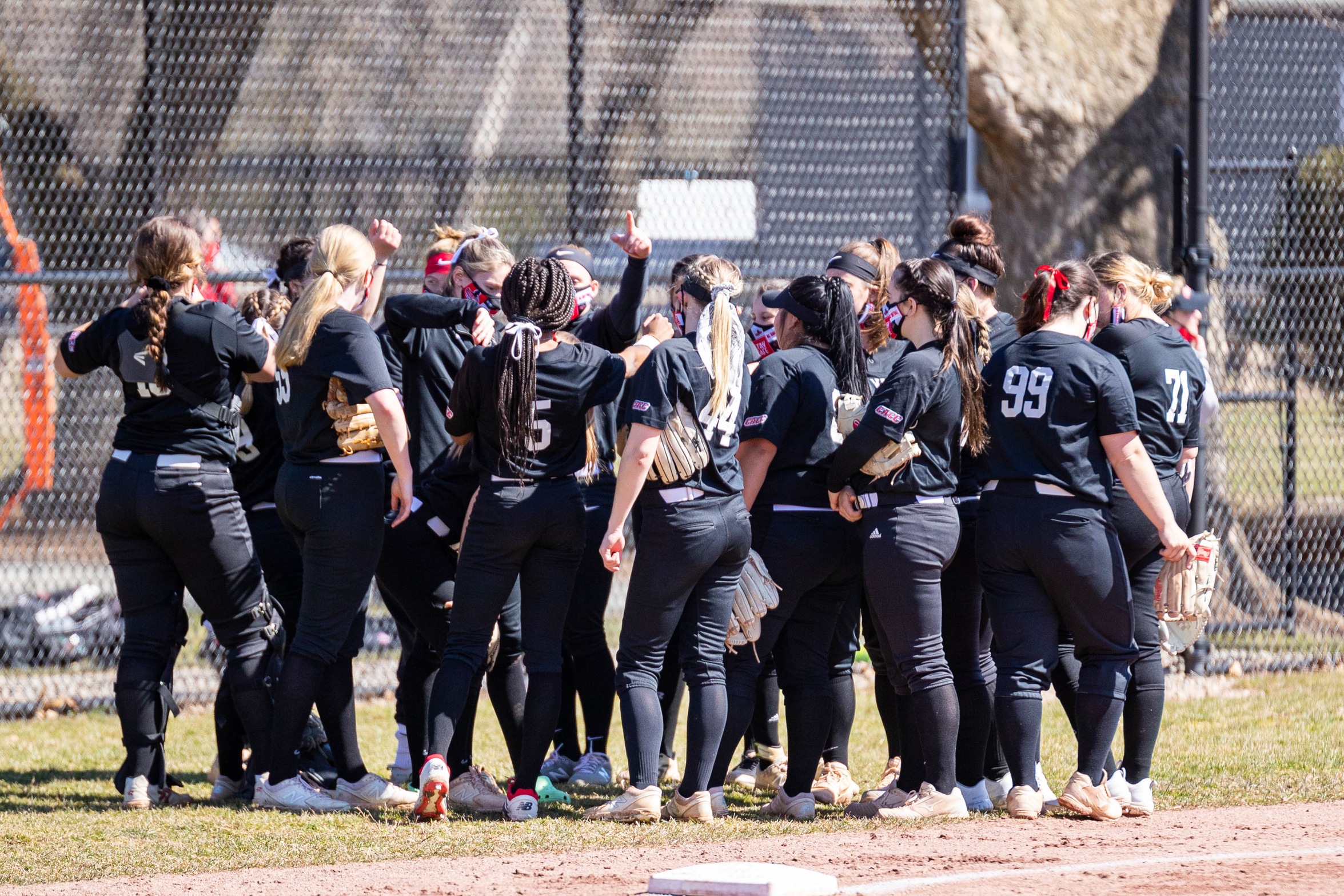 SOFTBALL TIES FOR SECOND PLACE IN CACC PRESEASON POLL